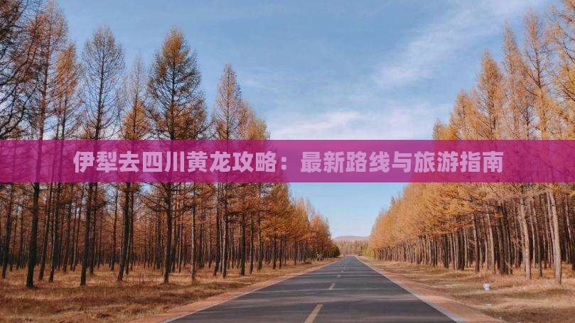 伊犁去四川黄龙攻略：最新路线与旅游指南