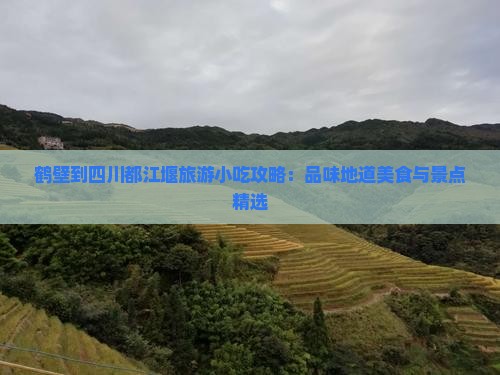 鹤壁到四川都江堰旅游小吃攻略：品味地道美食与景点精选