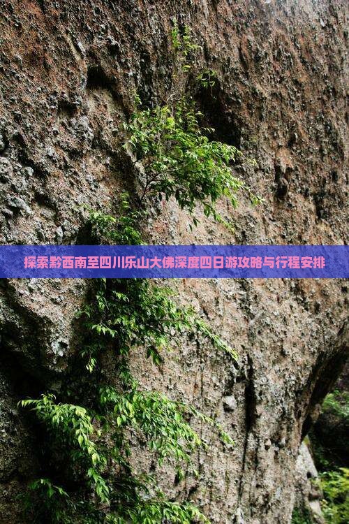 探索黔西南至四川乐山大佛深度四日游攻略与行程安排