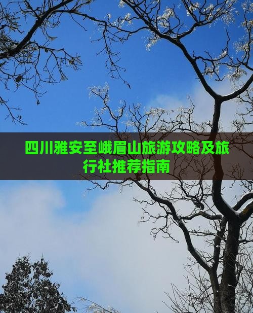 四川雅安至峨眉山旅游攻略及旅行社推荐指南
