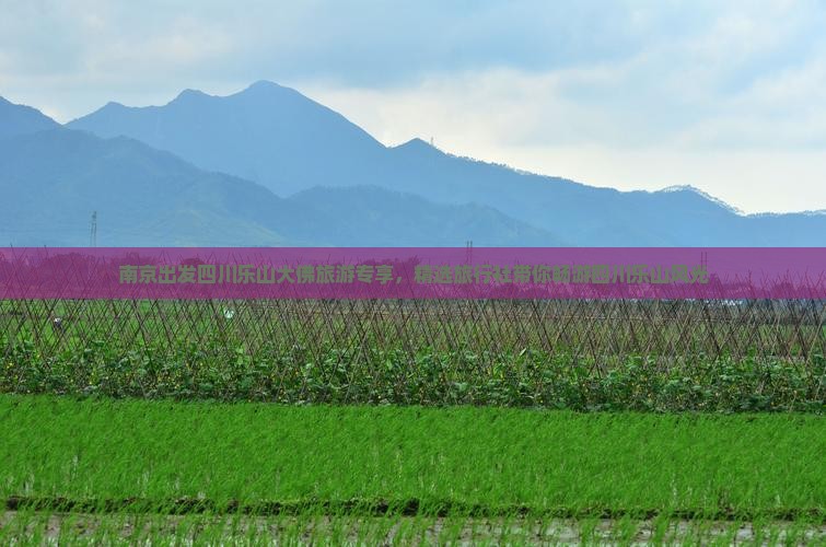 南京出发四川乐山大佛旅游专享，精选旅行社带你畅游四川乐山风光