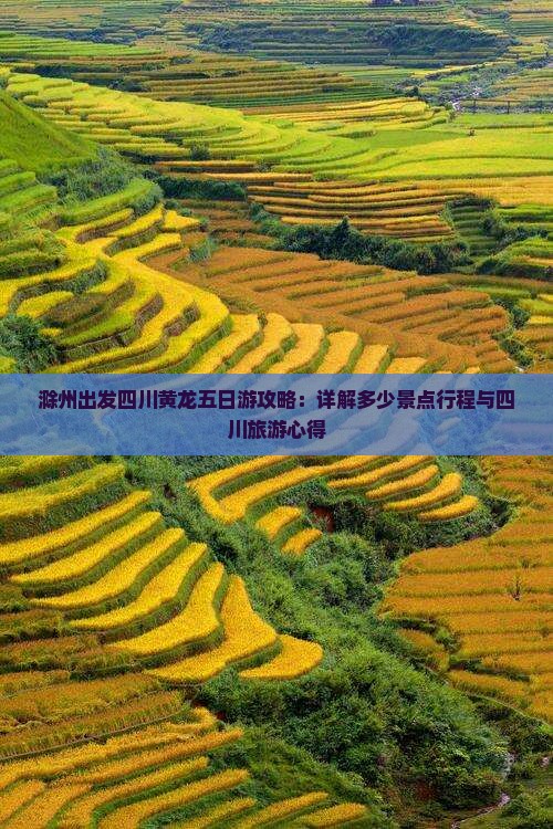 滁州出发四川黄龙五日游攻略：详解多少景点行程与四川旅游心得