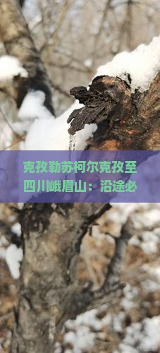 克孜勒苏柯尔克孜至四川峨眉山：沿途必游景点及峨眉山深度游攻略