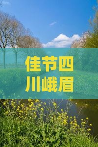 佳节四川峨眉山七日深度游攻略