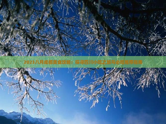2023八月成都美食攻略：探寻四川小吃之旅与必吃推荐指南