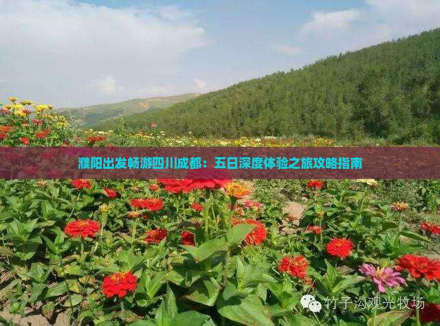 濮阳出发畅游四川成都：五日深度体验之旅攻略指南