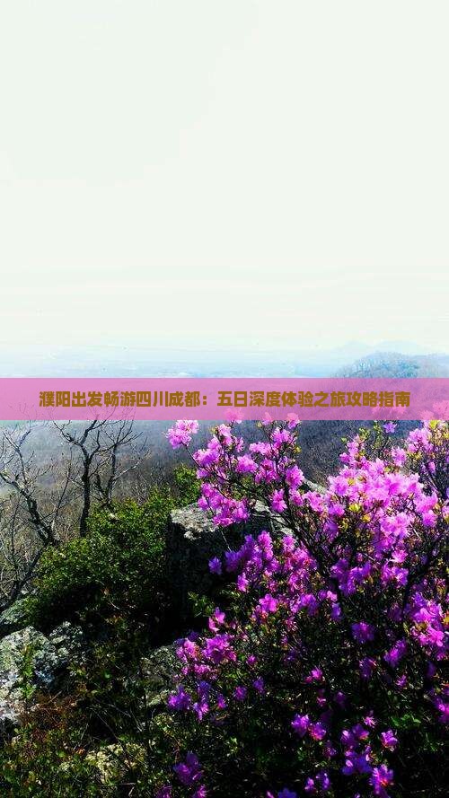 濮阳出发畅游四川成都：五日深度体验之旅攻略指南