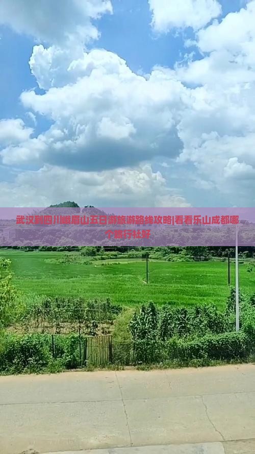 武汉到四川峨眉山五日游旅游路线攻略|看看乐山成都哪个旅行社好