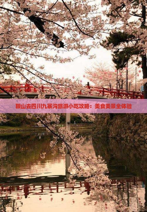 鞍山去四川九寨沟旅游小吃攻略：美食美景全体验