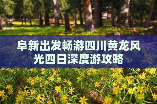 阜新出发畅游四川黄龙风光四日深度游攻略