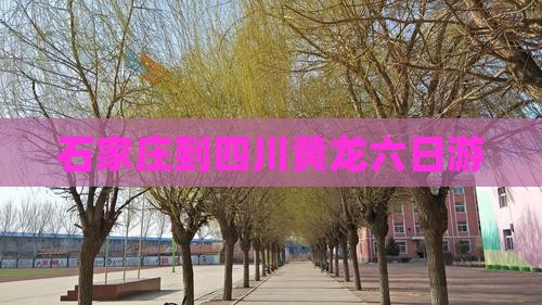 石家庄到四川黄龙六日游