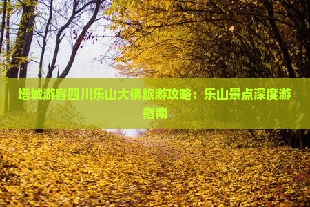 塔城游客四川乐山大佛旅游攻略：乐山景点深度游指南