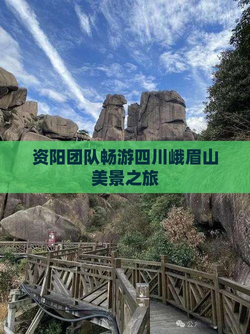 资阳团队畅游四川峨眉山美景之旅
