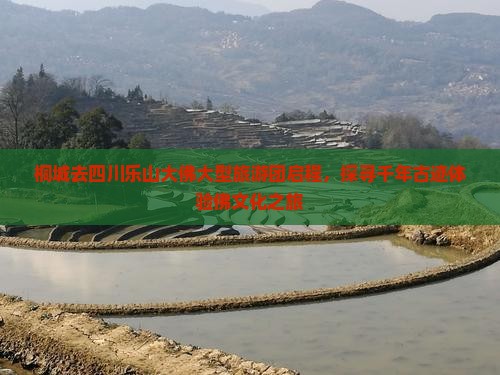 桐城去四川乐山大佛大型旅游团启程，探寻千年古迹体验佛文化之旅