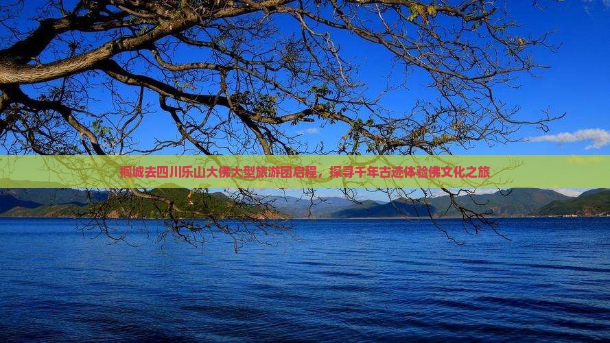 桐城去四川乐山大佛大型旅游团启程，探寻千年古迹体验佛文化之旅