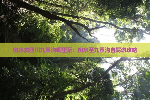 衡水去四川九寨沟哪里玩：衡水至九寨沟自驾游攻略