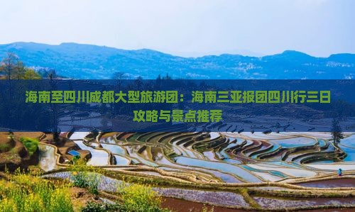 海南至四川成都大型旅游团：海南三亚报团四川行三日攻略与景点推荐