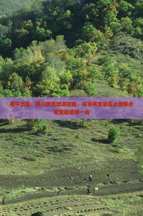 南平出发：四川黄龙旅游攻略，探寻黄龙景区必游景点哪里最值得一去