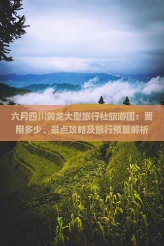 六月四川黄龙大型旅行社旅游团：费用多少、景点攻略及旅行预算解析