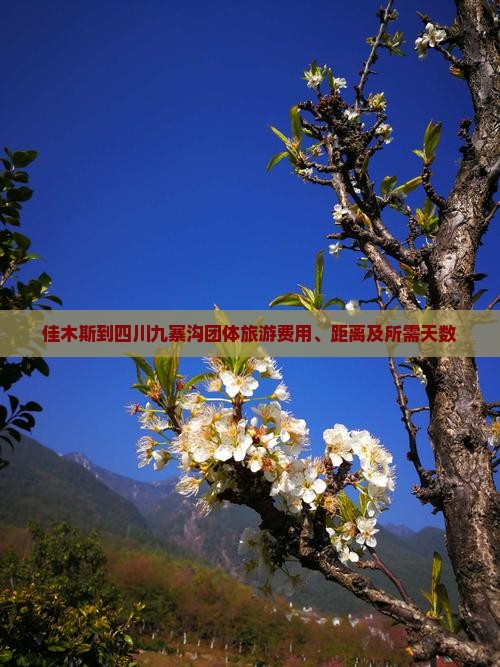 佳木斯到四川九寨沟团体旅游费用、距离及所需天数