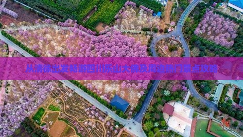 从清徐出发畅游四川乐山大佛及周边热门景点攻略