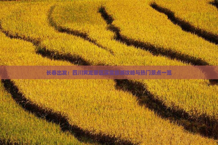 长春出发：四川黄龙景区深度旅游攻略与热门景点一览