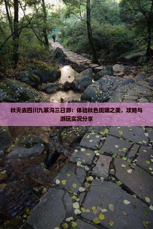 秋天去四川九寨沟三日游：体验秋色斑斓之美，攻略与游玩实况分享