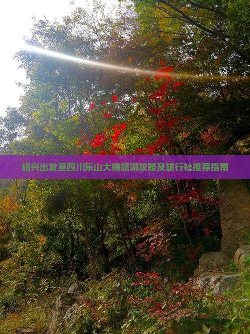 绍兴出发至四川乐山大佛旅游攻略及旅行社推荐指南