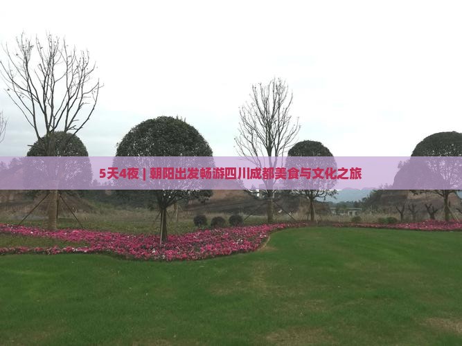 5天4夜 | 朝阳出发畅游四川成都美食与文化之旅