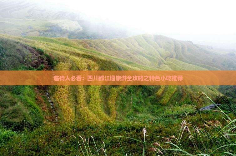 临猗人必看：四川都江堰旅游全攻略之特色小吃推荐