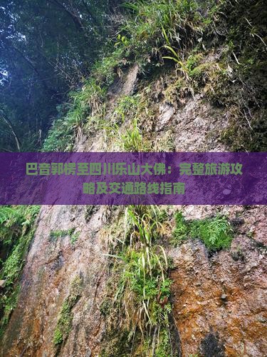 巴音郭楞至四川乐山大佛：完整旅游攻略及交通路线指南