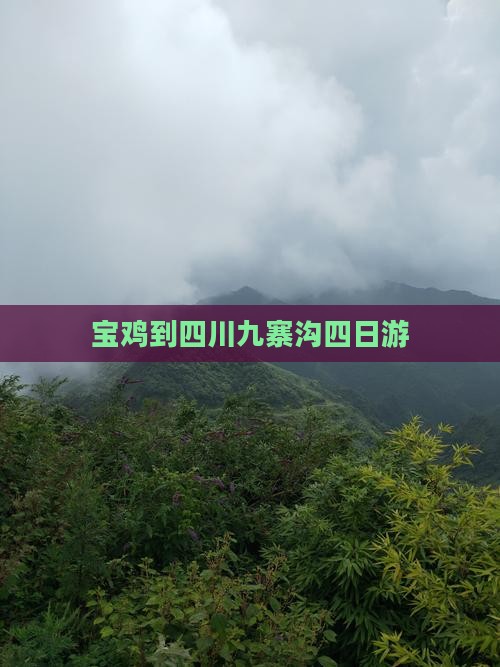 宝鸡到四川九寨沟四日游