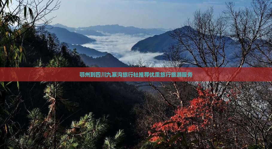 鄂州到四川九寨沟旅行社推荐优质旅行旅游服务