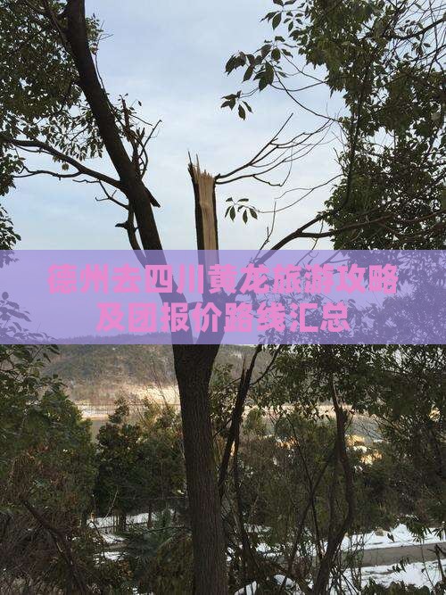 德州去四川黄龙旅游攻略及团报价路线汇总