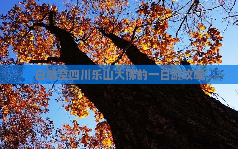 白城至四川乐山大佛的一日游攻略