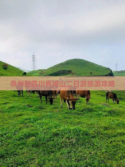 泉州到四川青城山二日游旅游攻略