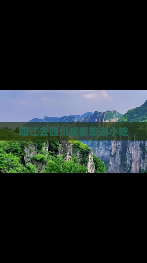 阳江去四川成都旅游小吃
