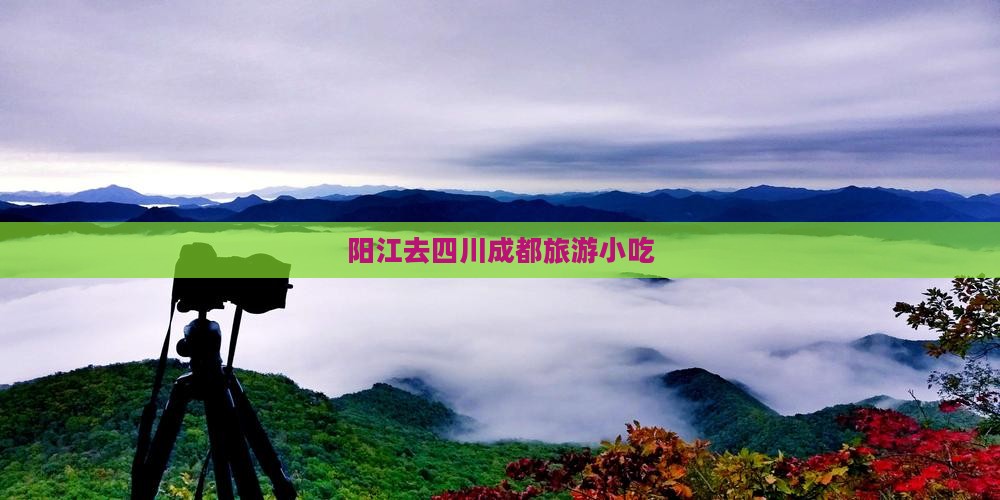阳江去四川成都旅游小吃