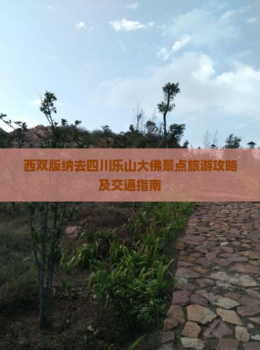 西双版纳去四川乐山大佛景点旅游攻略及交通指南