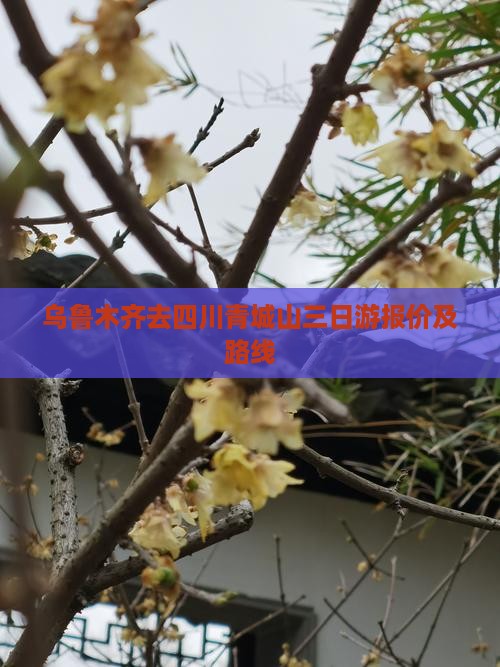 乌鲁木齐去四川青城山三日游报价及路线