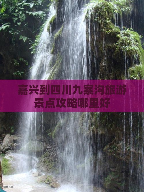 嘉兴到四川九寨沟旅游景点攻略哪里好