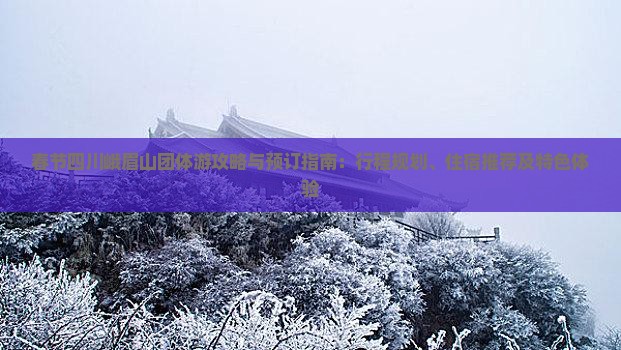春节四川峨眉山团体游攻略与预订指南：行程规划、住宿推荐及特色体验
