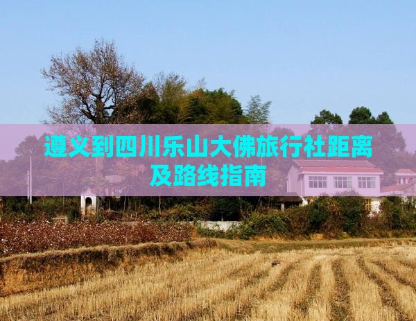 遵义到四川乐山大佛旅行社距离及路线指南