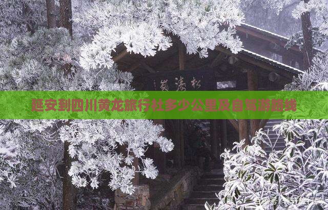 延安到四川黄龙旅行社多少公里及自驾游路线