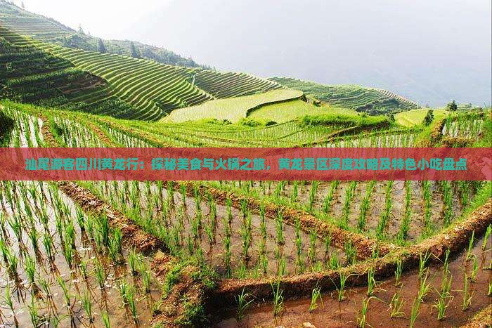 汕尾游客四川黄龙行：探秘美食与火锅之旅，黄龙景区深度攻略及特色小吃盘点