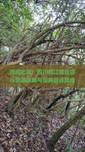 抚顺出发：四川都江堰自由行旅游攻略与经典景点路线全解析