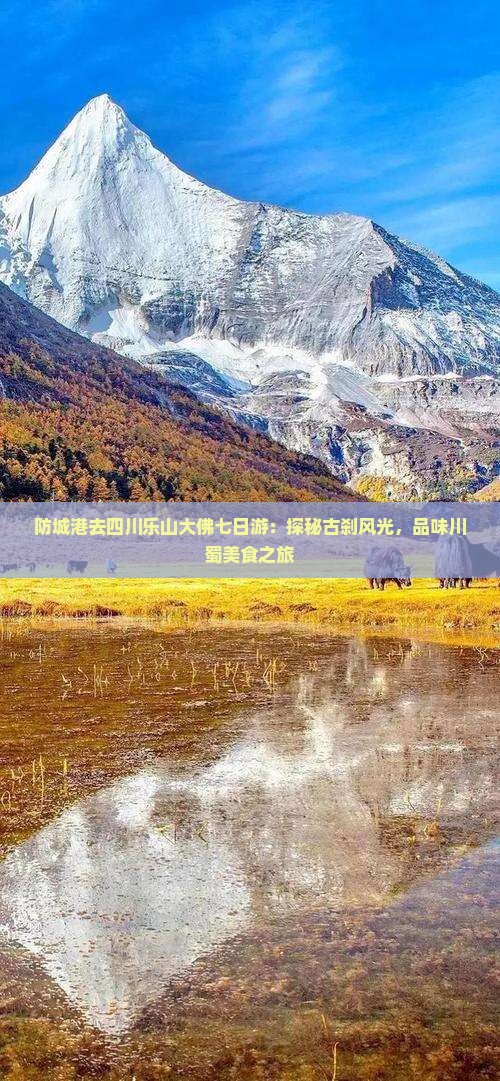 防城港去四川乐山大佛七日游：探秘古刹风光，品味川蜀美食之旅