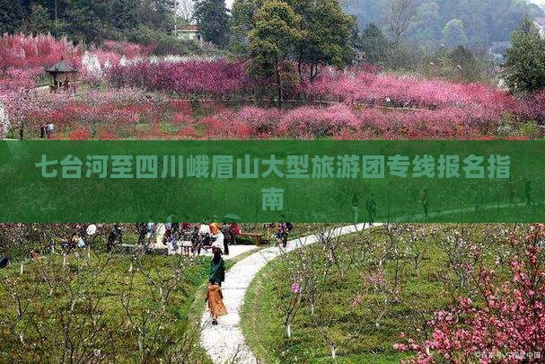 七台河至四川峨眉山大型旅游团专线报名指南