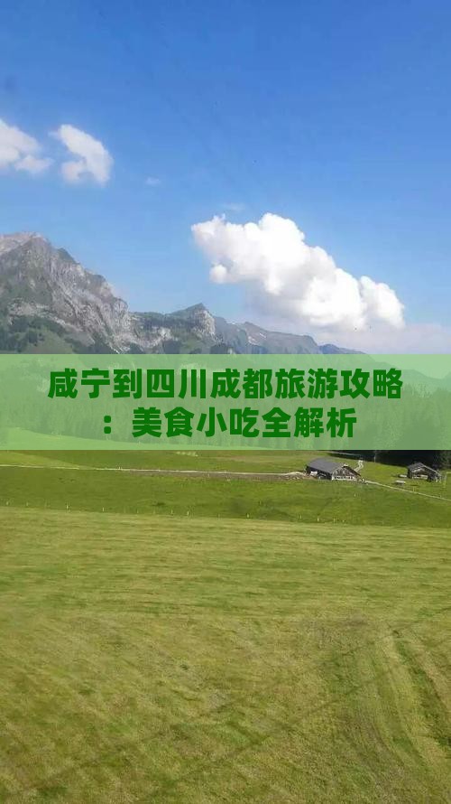 咸宁到四川成都旅游攻略：美食小吃全解析