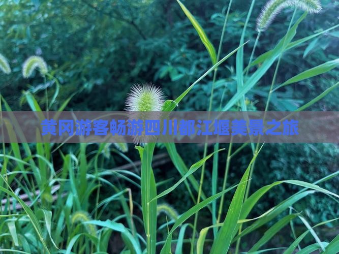 黄冈游客畅游四川都江堰美景之旅